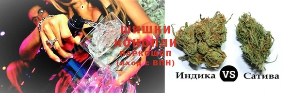 ГАЛЛЮЦИНОГЕННЫЕ ГРИБЫ Заволжск