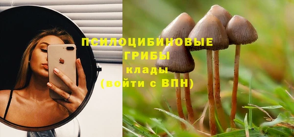 стафф Заволжье