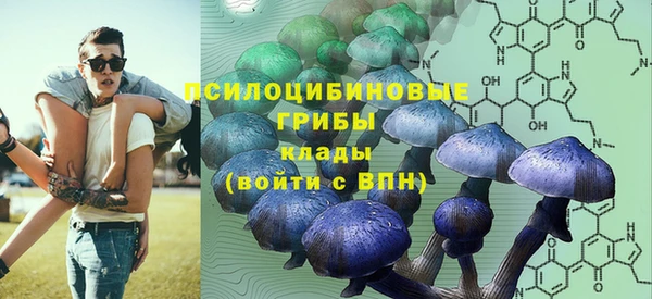 стафф Заволжье