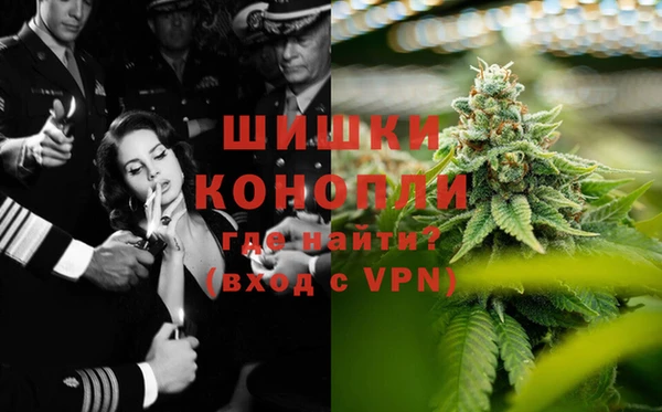 ГАЛЛЮЦИНОГЕННЫЕ ГРИБЫ Заволжск