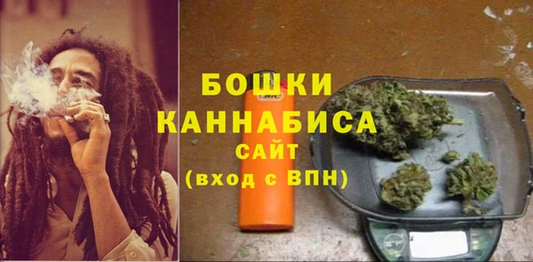 ГАЛЛЮЦИНОГЕННЫЕ ГРИБЫ Заволжск
